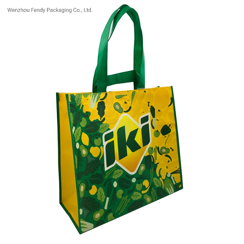 Double Handle Laminated PP Non Woven Shopping Bag for Supermarket